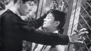 陽のあたる坂道 | 鎌倉市川喜多映画記念館